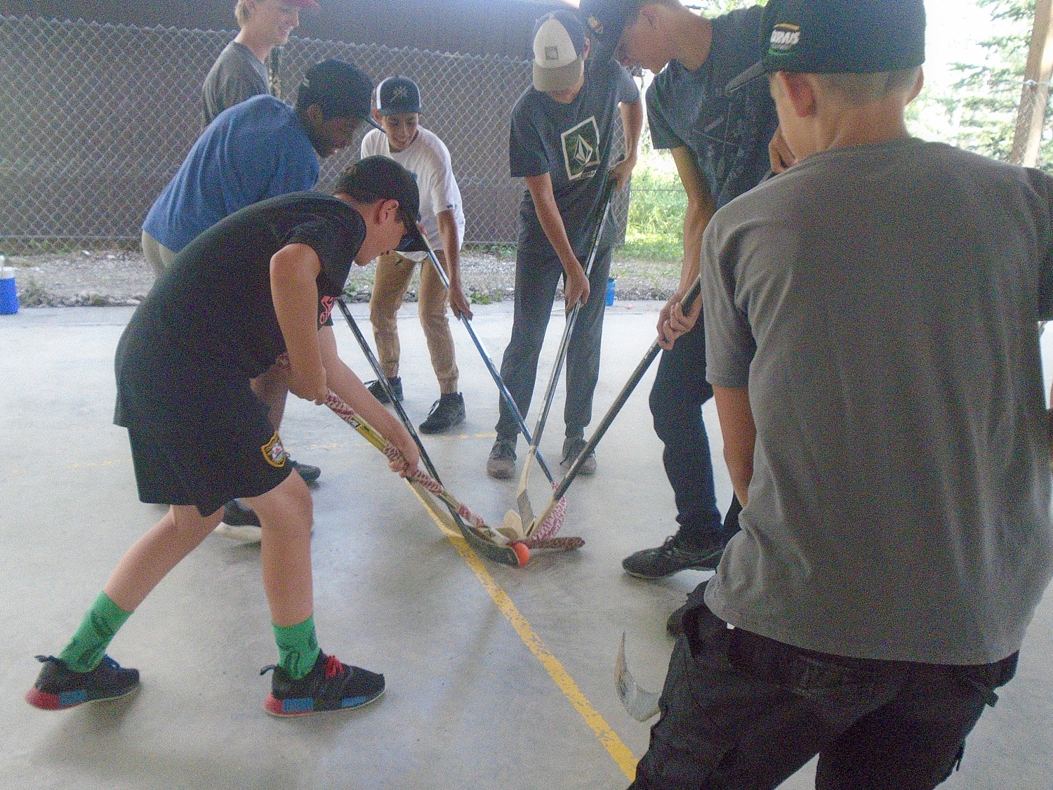 Our National Sport (Without the Ice)